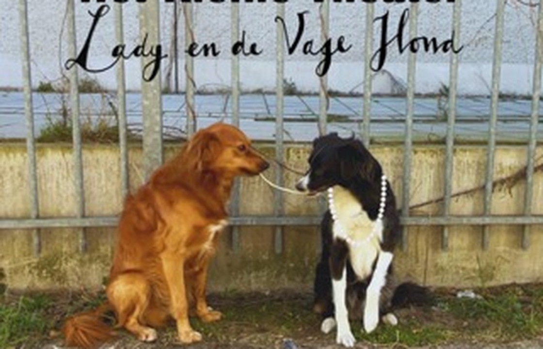 Lady & De Vage Hond